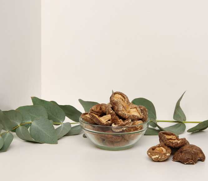 Organik Şitaki Mantarları