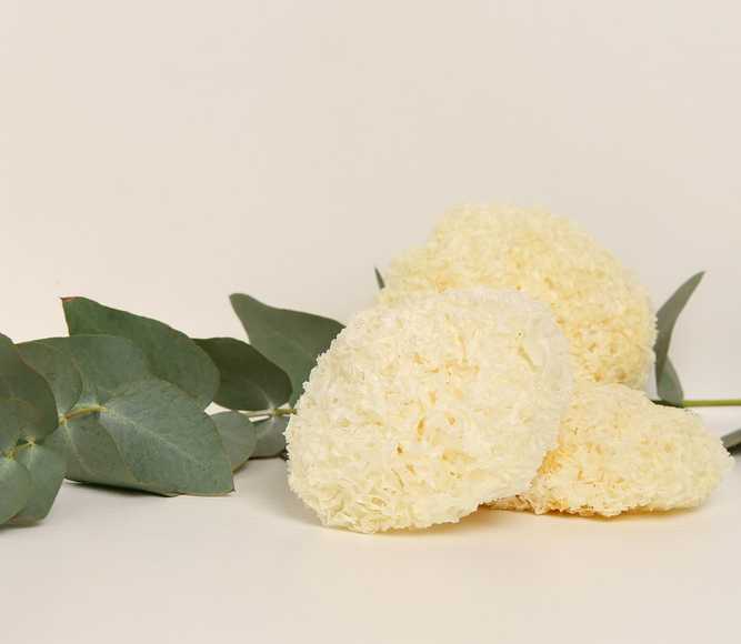 Organik Tremella (Kar Mantarı)