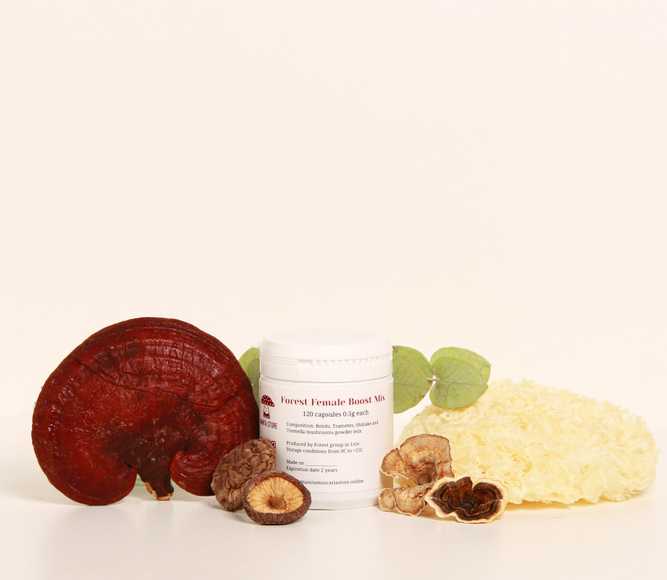 Orman Kadın Takviye Karışımı