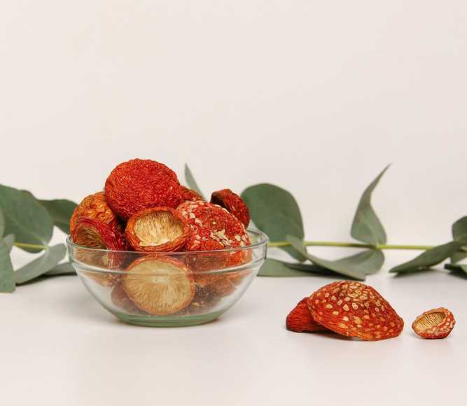 אמניטה מוסכריה פרימיום אורגנית