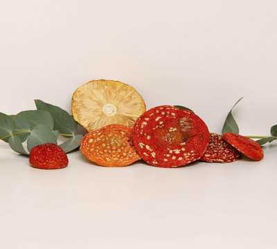 פטריית אמניטה מוסכריה גרייד א׳