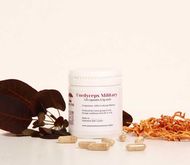 Cordyceps Askeri kapsüller