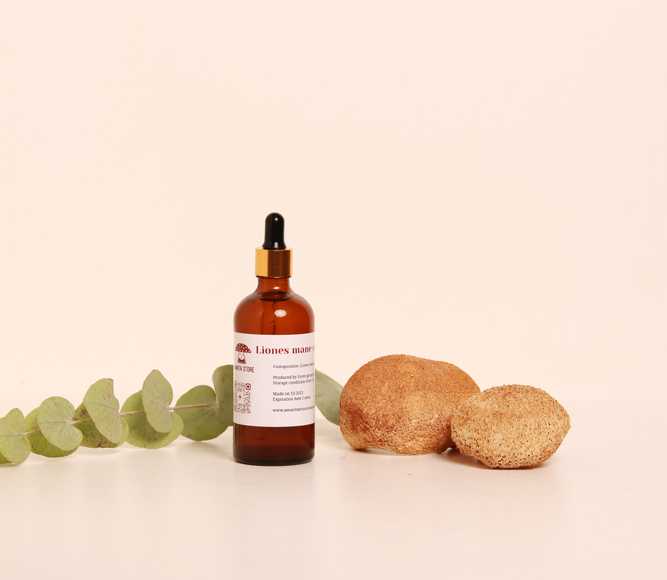 Aslan Yelesi Tentürü – Taze Organik Meyve Organlarından Çift Ekstraksiyon