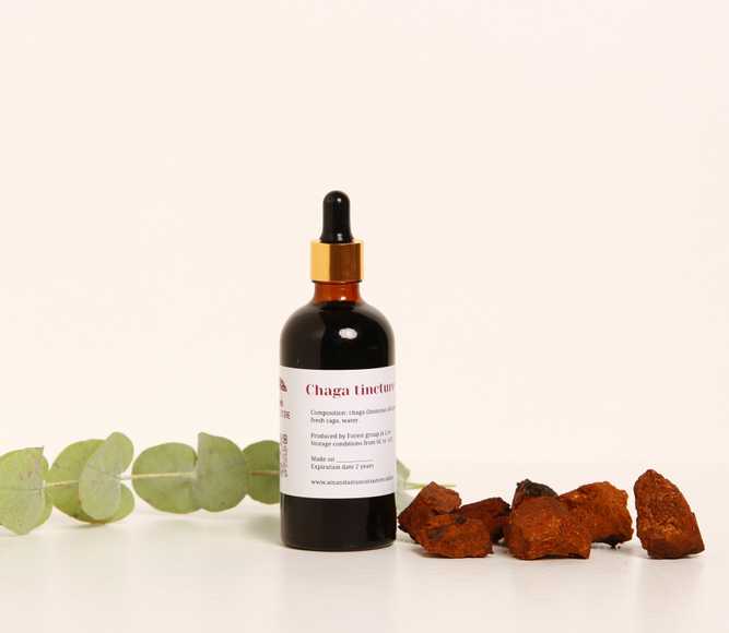 Chaga (Inonotus obliquus) tincture – Double Extraction