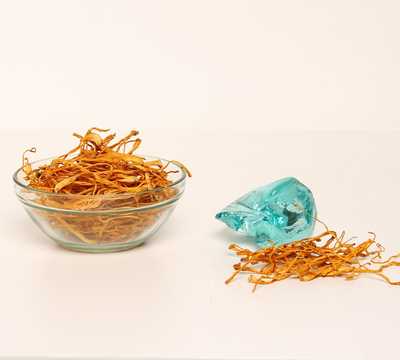 קורדיספס צבאי