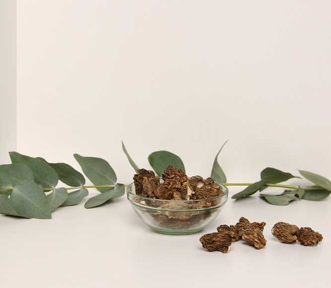 Kurutulmuş Kuzugöbeği