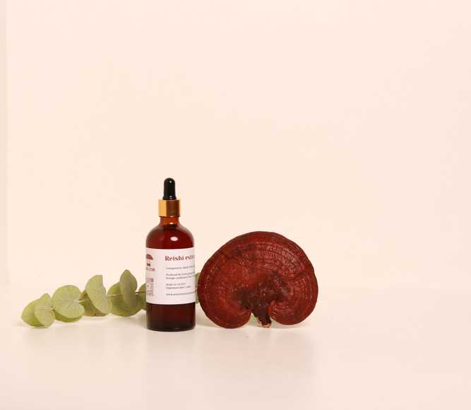 Reishi-tinktur – dobbelt ekstraktion fra friske organiske frugtlegemer