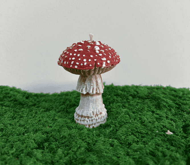 Amanita muscaria aroma candle