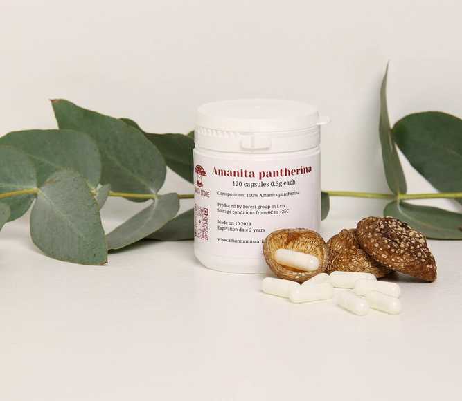 כמוסות פירות פטריית אמניטה