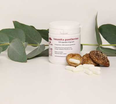 כמוסות פירות פטריית אמניטה