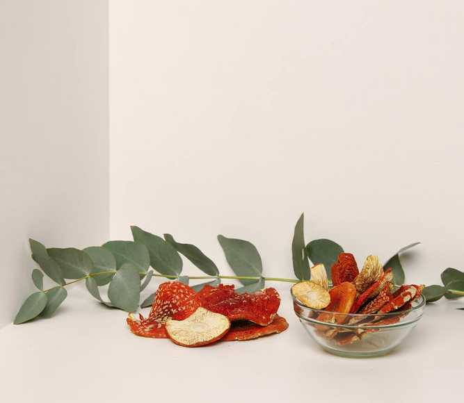 Amanita muscaria grade B