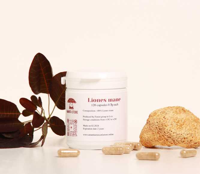 Aslan Yelesi kapsülleri